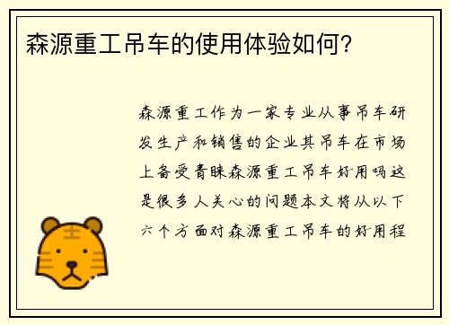 森源重工吊车的使用体验如何？